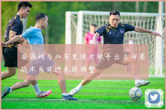 安佩姆与加布里埃尔联手出击海港战术或将迎来新调整